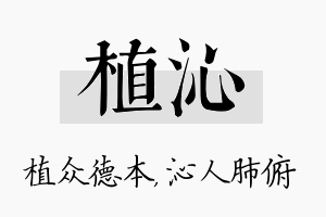 植沁名字的寓意及含义