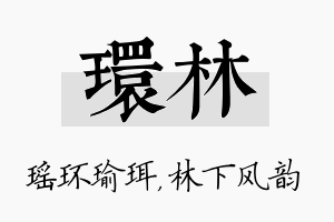 环林名字的寓意及含义