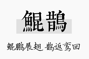 鲲鹊名字的寓意及含义