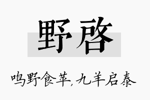 野启名字的寓意及含义