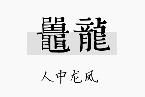 鼍龙名字的寓意及含义