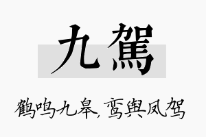 九驾名字的寓意及含义