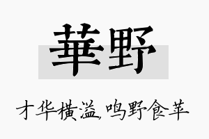 华野名字的寓意及含义