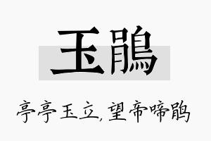 玉鹃名字的寓意及含义