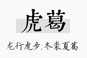 虎葛名字的寓意及含义