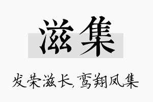 滋集名字的寓意及含义