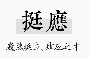 挺应名字的寓意及含义