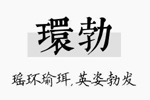 环勃名字的寓意及含义