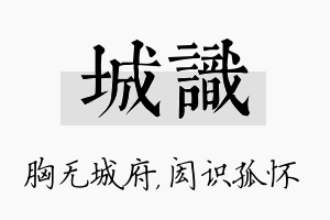 城识名字的寓意及含义