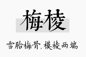 梅棱名字的寓意及含义