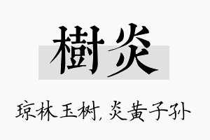 树炎名字的寓意及含义