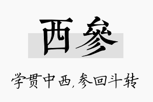 西参名字的寓意及含义