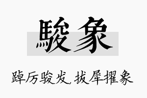 骏象名字的寓意及含义