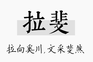 拉斐名字的寓意及含义