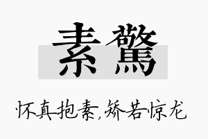 素惊名字的寓意及含义