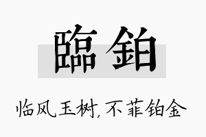 临铂名字的寓意及含义