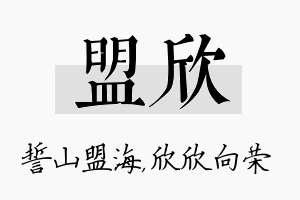 盟欣名字的寓意及含义