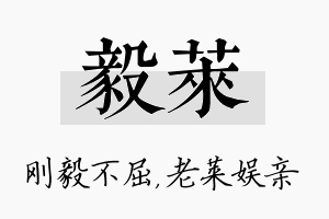 毅莱名字的寓意及含义