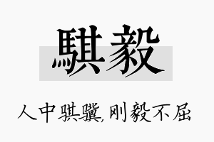 骐毅名字的寓意及含义