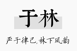 于林名字的寓意及含义