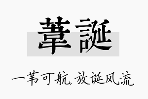 苇诞名字的寓意及含义