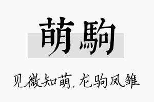 萌驹名字的寓意及含义