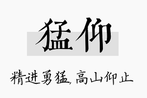 猛仰名字的寓意及含义