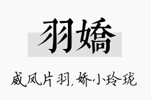 羽娇名字的寓意及含义