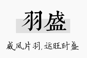 羽盛名字的寓意及含义