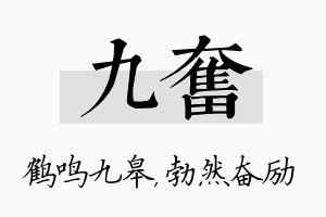 九奋名字的寓意及含义