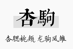 杏驹名字的寓意及含义