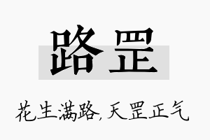 路罡名字的寓意及含义