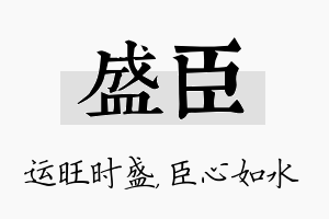 盛臣名字的寓意及含义