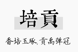 培贡名字的寓意及含义