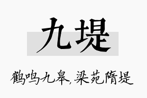 九堤名字的寓意及含义