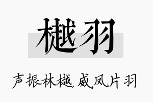 樾羽名字的寓意及含义