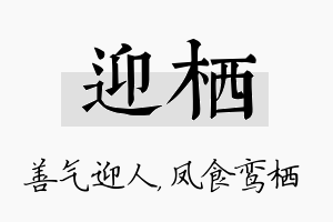 迎栖名字的寓意及含义