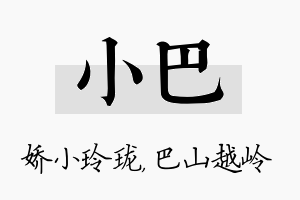 小巴名字的寓意及含义