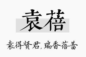 袁蓓名字的寓意及含义