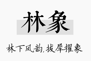 林象名字的寓意及含义