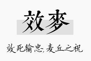 效麦名字的寓意及含义