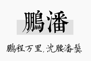 鹏潘名字的寓意及含义