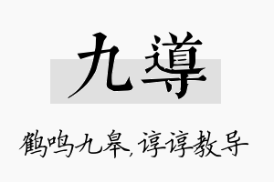 九导名字的寓意及含义