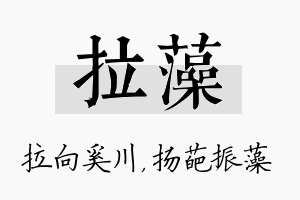 拉藻名字的寓意及含义