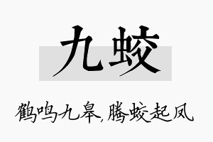 九蛟名字的寓意及含义