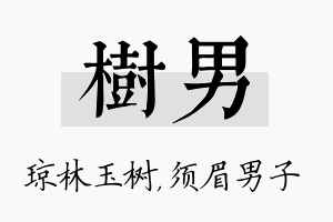 树男名字的寓意及含义