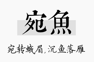 宛鱼名字的寓意及含义