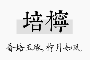 培柠名字的寓意及含义