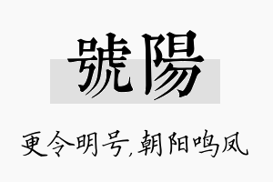 号阳名字的寓意及含义