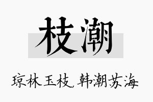 枝潮名字的寓意及含义